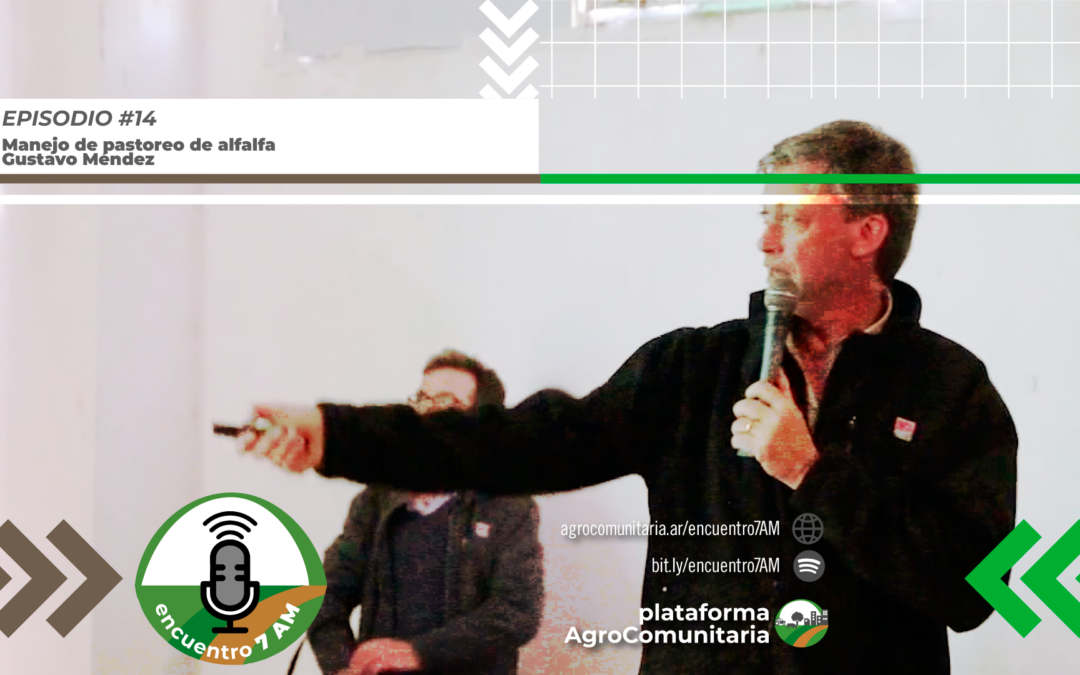 Manejo de pastoreo de alfalfa