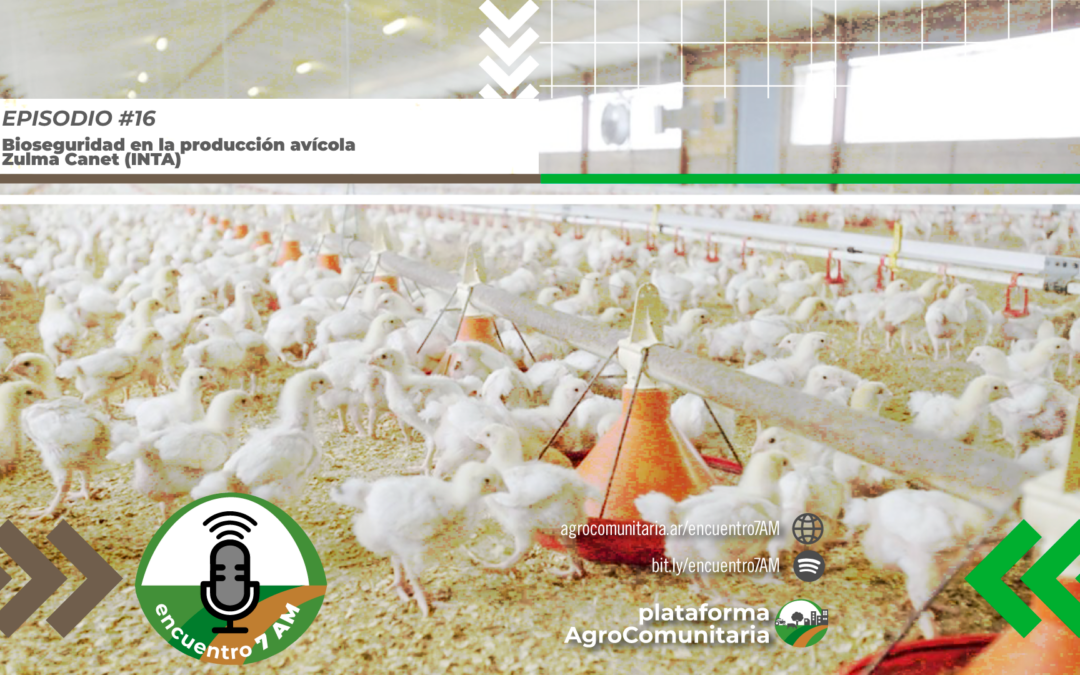 Bioseguridad en la producción avícola