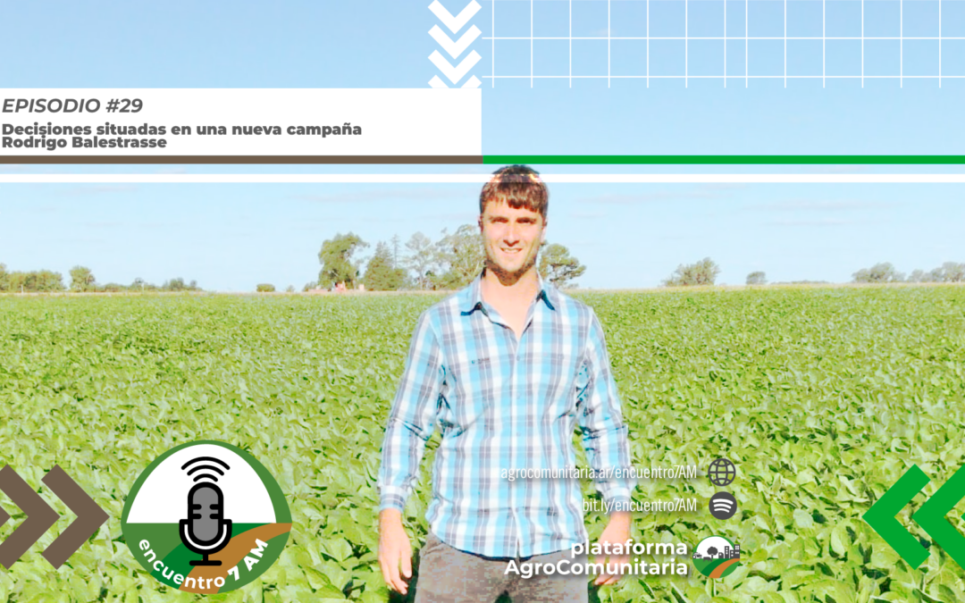 Decisiones situadas en una nueva campaña