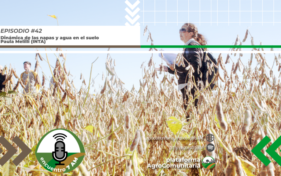 Dinámica de las napas y los cultivos