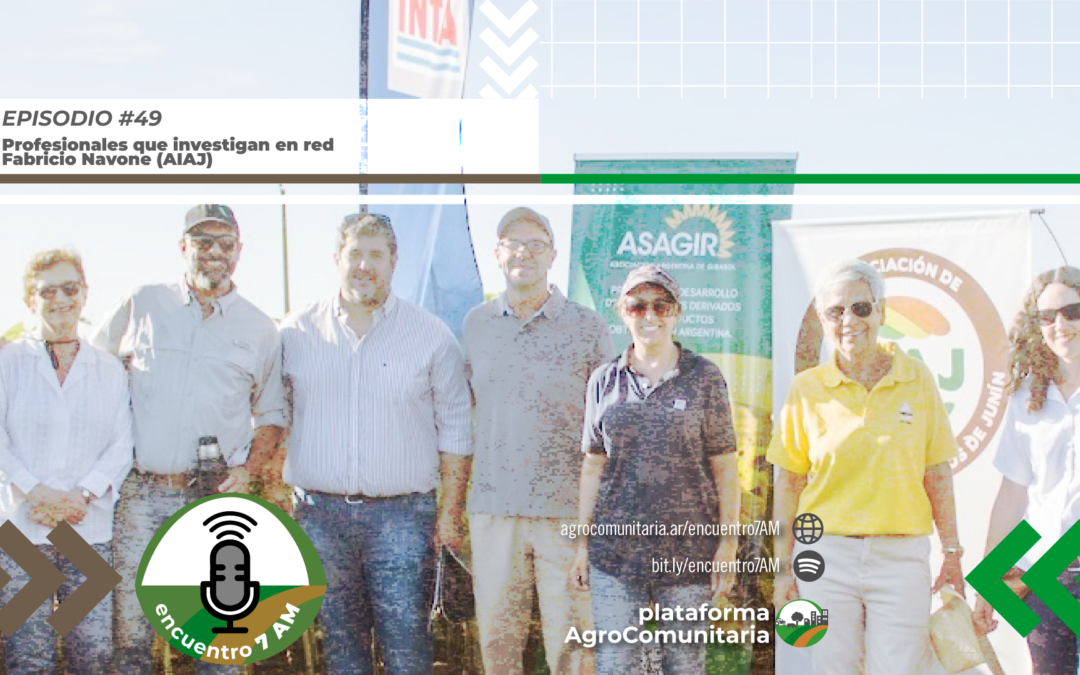 Profesionales que investigan en red