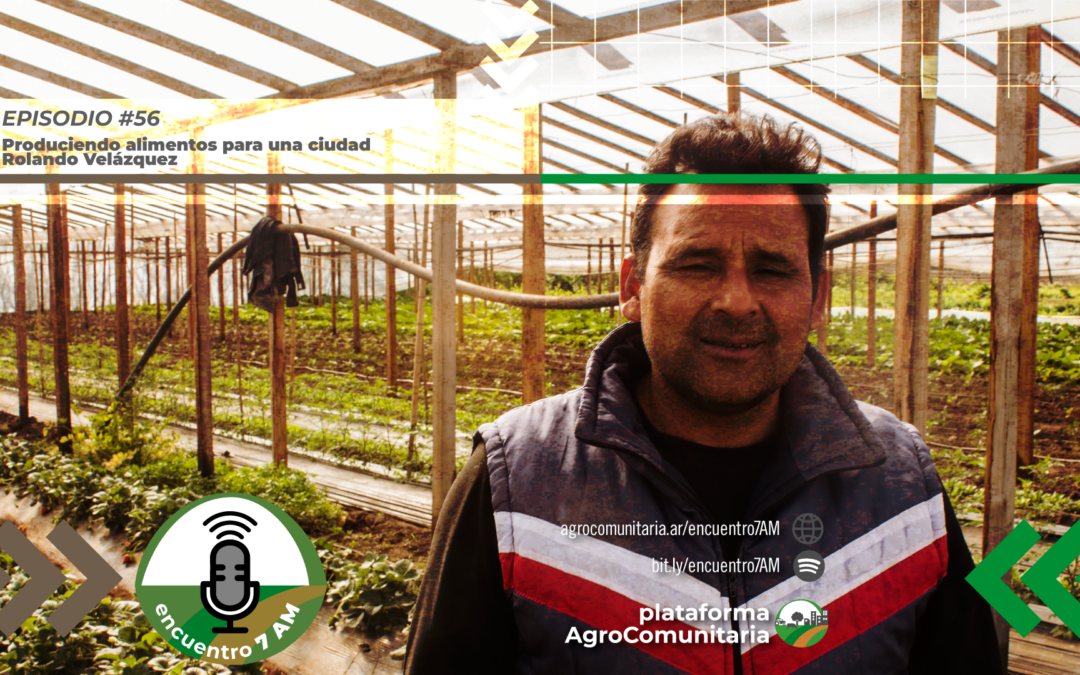 Produciendo alimentos para la ciudad